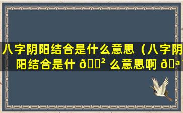 八字阴阳结合是什么意思（八字阴阳结合是什 🌲 么意思啊 🪴 ）